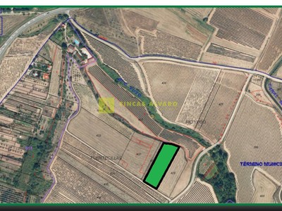 Terreno rural en venta en Arenzana De Abajo