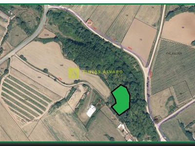 Terreno rural en venta en Santa Coloma