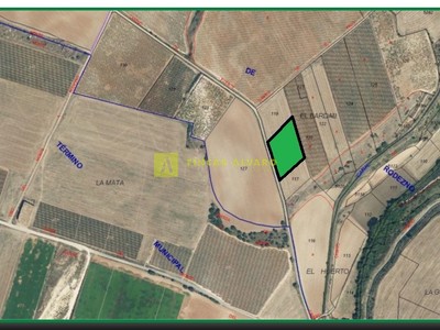 Terreno rural en venta en Rodezno