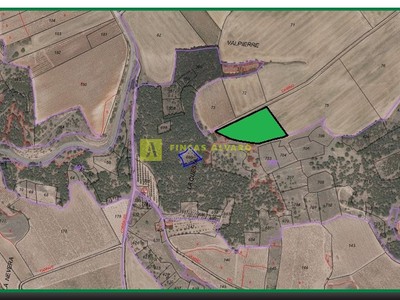 Terreno rural en venta en Alesanco