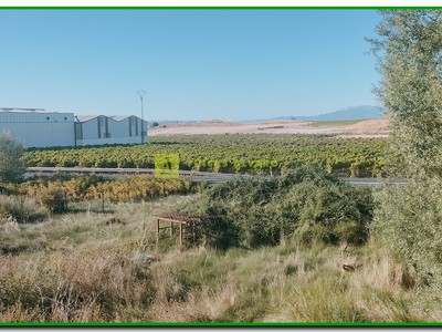 Vistas al campo