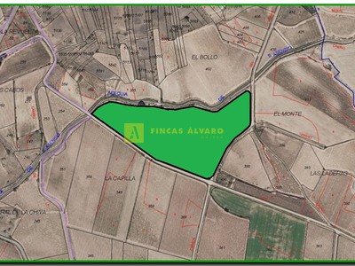 Terreno rural en venta en Azofra