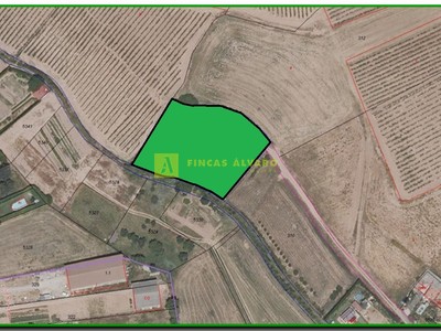 Terreno rural en venta en Hormilla