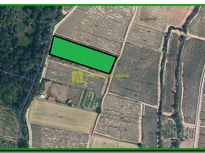 Terreno rural en venta en Najera