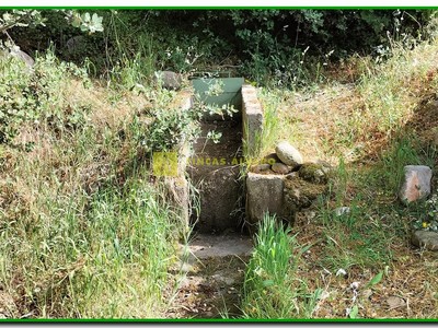 Regadío hasta la finca