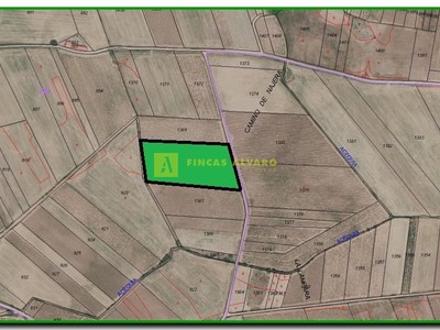 Terreno rural en venta en Alesanco