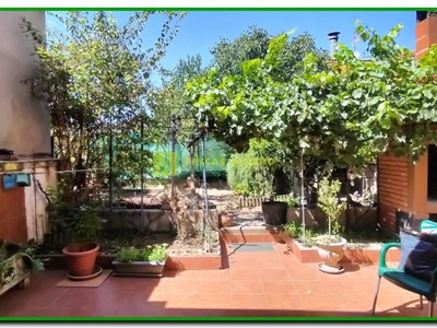 Jardín trasero