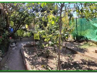 Zona de huerta