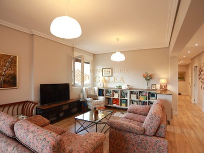 Piso en venta en Romo, Gobelaurre, con 2 dormitorios, baño y terraza