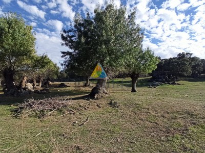 Parcela rústica en venta en Colmenar Del Arroyo