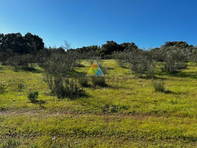 Parcela rústica en venta en Colmenar Del Arroyo