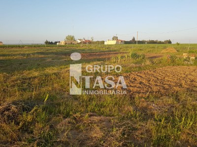 Terreno en venta en Morales Del Vino, Morales Del Vino, con terreno
