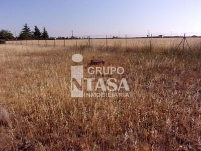 Terreno en venta en Zamora, Morales Del Vino, con terreno