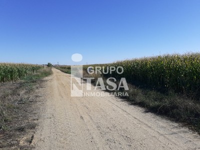 Terreno en venta en Zamora, Coreses