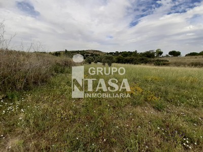 Finca en venta en Zamora, La Hiniesta, con terreno