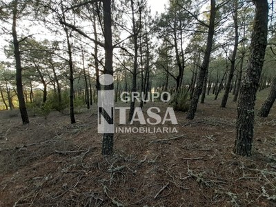 Terreno en venta en Zamora, Santa Eulalia De Tabara