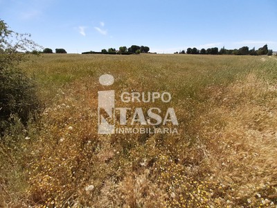 Terreno en venta en Moraleja Del Vino