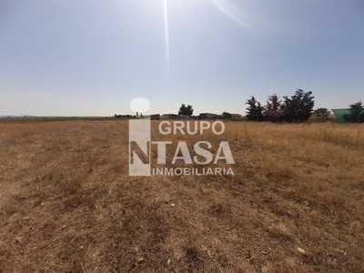 Finca en venta en Villaralbo
