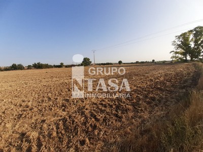 Terreno en venta en Zamora