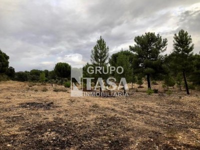 Terreno en venta en Zamora, Toro