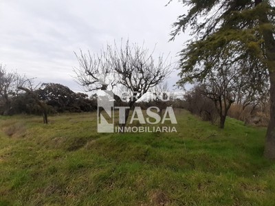 Terreno en venta en Zamora, Fresno De La Ribera