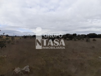 Terreno en venta en Zamora, Tardobispo