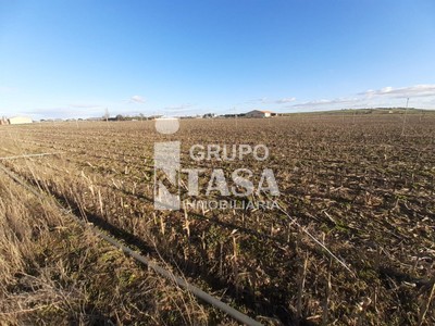 Finca en venta en Villaralbo, Zona Centro