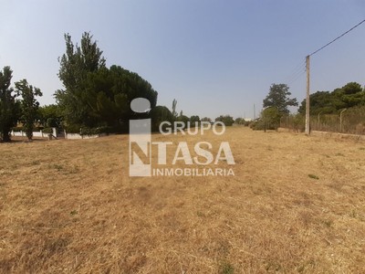 Terreno en venta en Morales Del Vino, Zona Centro