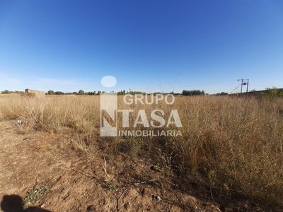 Terreno rural en venta en Coreses, Zona Centro