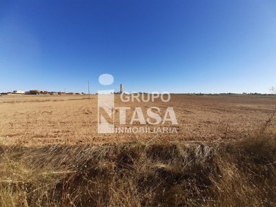 Terreno rural en venta en Morales Del Vino, Zona Centro