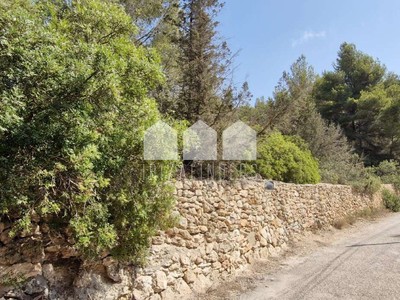 Terreno rústico en venta en Santa Eulalia Del Rio, Cala Llansa