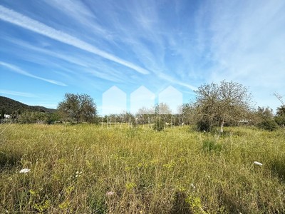 Terreno rústico en venta en Santa Eulalia Del Rio, San Carlos