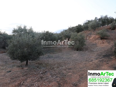 Terreno en venta en Illora