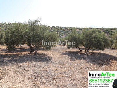 Terreno en venta en Obeilar