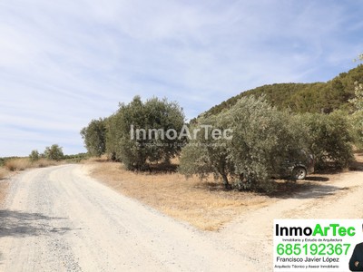 Terreno en venta en Illora