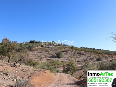 Terreno en venta en Illora