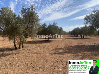 Terreno en venta en Bracana