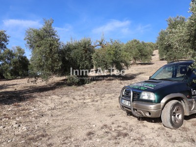 Terreno en venta en Illora