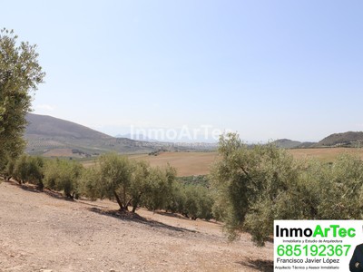 Terreno en venta en Illora