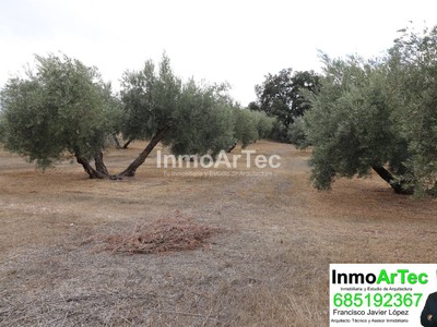 Terreno en venta en Illora