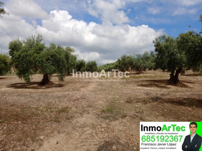 Terreno en venta en Tocón