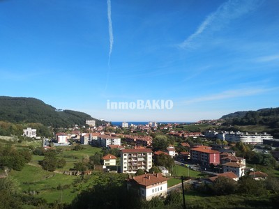 Piso en venta en Bakio, Zona Fronton, con 2 dormitorios, baño, balcón y terraza