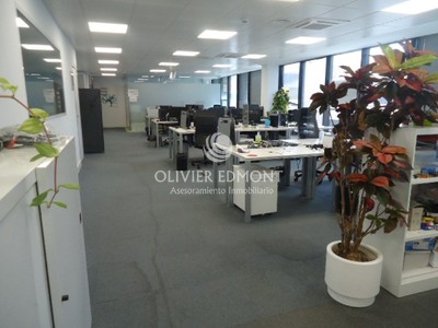 Oficina en alquiler en Pozuelo