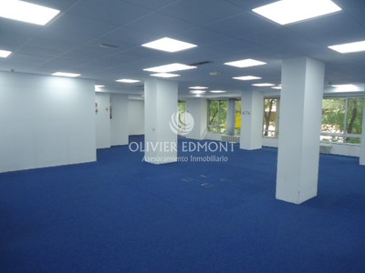 Oficina en alquiler en Madrid, Castellana Prime