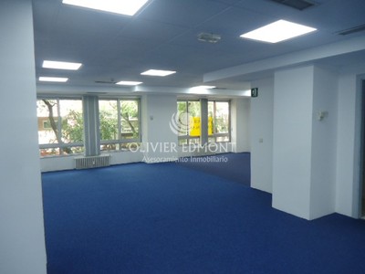 1ª plta mod C Y D 411m2
