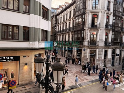 Vistas