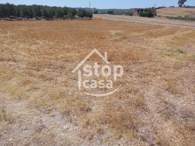 Parcela en venta en Fernan Nuñez