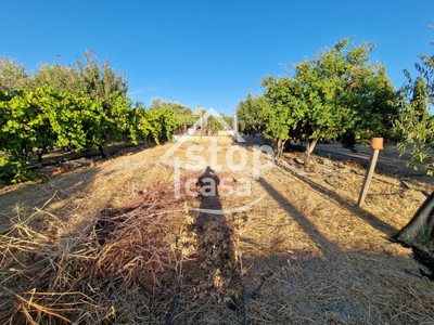 Terreno rural en venta en Fernan Nuñez, Barrio El Mono
