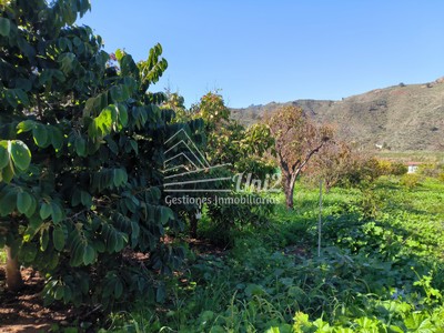 Chalet en venta en Valsequillo, con 2 dormitorios, 3 baños, 3 plazas de garaje, trastero y terreno