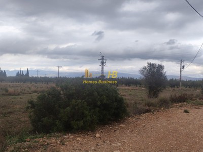 Terreno agricola en venta en Roquetes